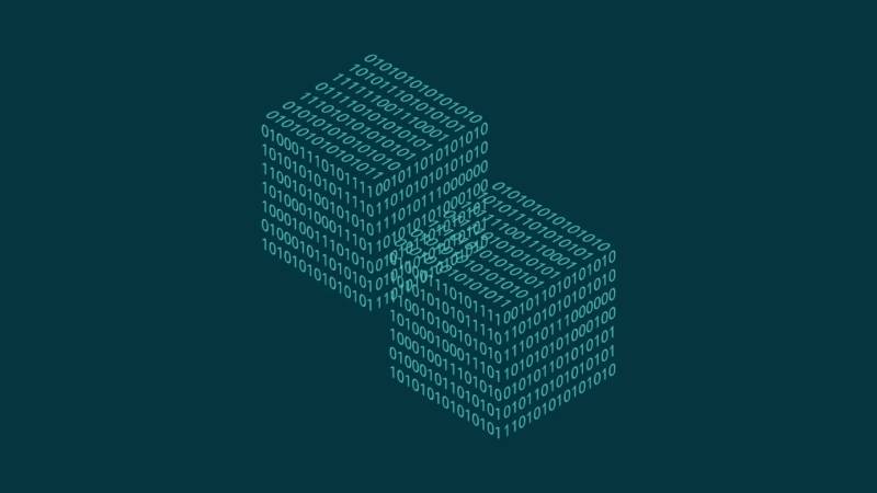 顺河信创改造：网络应用开发流程标准化的核心路径与实践